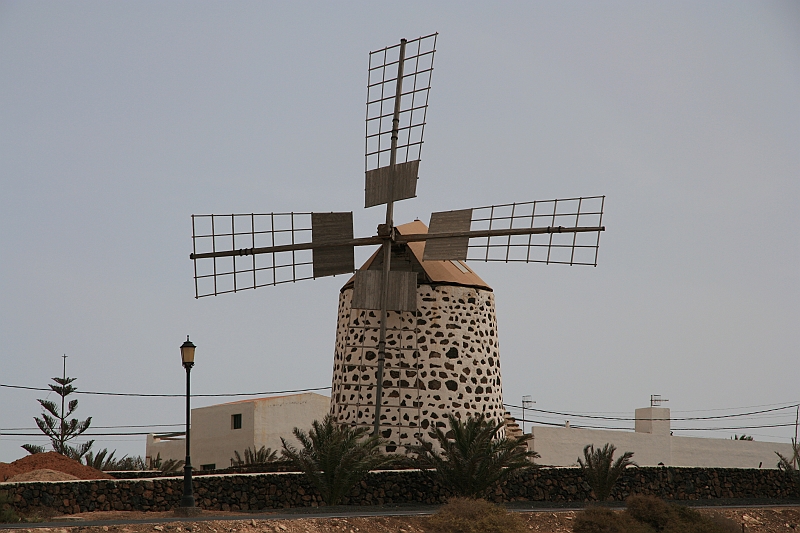 Kanary_2010 136